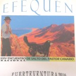 Cartel del XXIV Encuentro Nacional de Salto del Pastor Canario 'Efequén 2016' - Federación de  Salto del Pastor Canario - Fuerteventura - Islas Canarias (Del 8 al 11 de Diciembre de 2016).