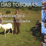 Cartel de la XX Festa das Tosquias da Ribeira dos Boieiros - Homenaje al Pastor Don Luís Veleiro (DEP 2016) - Organiza la Asociación de Criadores de Ganado de las Serras do Poiso - Camacha - Câmara Municipal de Santa Cruz - FSPC - Isla de Madeira (10 de Junio de 2016).