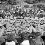 Pastores con Bordones en una Tosquia - Foto Figueiras - Museu de Fotografia da Madeira - Paúl da Serra - Federación de Salto del Pastor Canario - Concelho do Ponta do Sol - Isla de Madeira (Después de 1930).