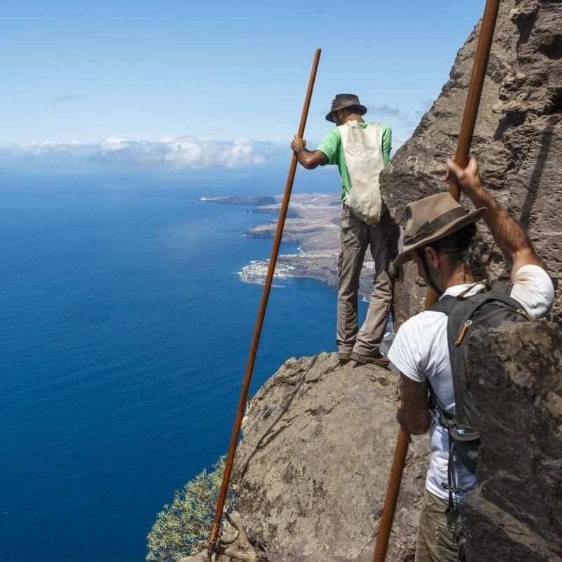 Imágenes de la Ruta de Salto del Pastor Canario 2015 del Pinar de Tamadaba y Montaña Faneque al Cortijo de Guayedra y Casa de la Palma - Organiza Jurria Jaira el 29 de Agosto de 2015 en Agaete - Isla de Gran Canaria - Álbunes de Fotos de Mario Rodríguez y Félix Santana (Jurria Jaira) - Archivo Documental de la Federación de Salto del Pastor Canario (FSPC) - Archipiélago Canario (Agosto de 2015).
