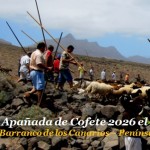 La Apañada de Cofete 2026 será el Sábado día 13 de Junio a partir de las 7:30 Horas en el Barranco de los Canarios – Organizan Comisionado del Mancomún de Pastores de Jandía y Asociación de Ganaderos del Sur de Fuerteventura ‘Mal Nombre‘ – Península de Jandía – Pájara – Isla de Fuerteventura – Archivo Documental de la Federación de Salto del Pastor Canario (FSPC) – Archipiélago Canario (Junio de 2026). La Apañada de Cofete 2026 será el Sábado día 13 de Junio a partir de las 7:30 Horas en el Barranco de los Canarios – Organizan Comisionado del Mancomún de Pastores de Jandía y Asociación de Ganaderos del Sur de Fuerteventura ‘Mal Nombre‘ – Península de Jandía – Pájara – Isla de Fuerteventura – Archivo Documental de la Federación de Salto del Pastor Canario (FSPC) – Archipiélago Canario (Junio de 2026).