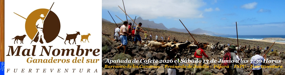Apañada de Cofete 2026 - Organizan la Asociación de Ganaderos y Pastores del Sur de Fuerteventura 'Mal Nombre', y Pastores Majoreros el Sábado día 13 de Junio de 2026 a partir de las 7:30 Horas en el Barranco de los Canarios - Península de Jandía - Pájara - Isla de Fuerteventura - Archivo Documental de la Federación de Salto del Pastor Canario (FSPC) - Archipiélago Canario (Junio de 2026).