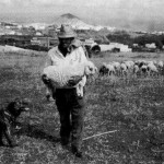 El Pastor y Ovejero Grancanario de las Medianías de Guía y Gáldar Don Felix Moreno con su Perro de Raza Majorera y Ganado - Foto de Antonio Cardona Sosa en su Libro 'El Perro Majorero Autóctono de Canarias (2007)' - Guía de Gran Canaria y Gáldar - Gran Canaria - Archivo Documental de la Federación de Salto del Pastor Canario (FSPC) - Archipiélago Canario (1993).