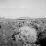 Pastores y Cabreros Majoreros con sus Latas y Perros de Raza Majorera vigilando su Ganado pastando en el matorral en Lajares - Foto de Antonio Cardona Sosa en su Libro 'El Perro Majorero Autóctono de Canarias (2007)' - Lajares - La Oliva - Fuerteventura - Archivo Documental de la Federación de Salto del Pastor Canario (FSPC) - Archipiélago Canario (1995).