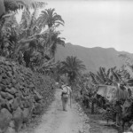 Trabajador de las Plataneras de Hermigua con Astia - Foto de Autor Desconocido - Hermigua - La Gomera - Archivo Documental de la Federación de Salto del Pastor Canario (FSPC) - Archipiélago Canario (1931).