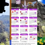 Calendario de la Campaña 2026 de Control y Erradicación del Rabo de Gato ‘Pennisetum setaceum‘ en el Macizo de Teno – Organiza la Asociación Abeque y Colaboran Saltadores, Colectivos y Jurrias de Tenerife, y Federación de Salto del Pastor Canario (FSPC) – Buenavista Del Norte y Santiago del Teide – Isla de Tenerife – Archivo Documental de la FSPC – Archipiélago Canario (De Enero a Diciembre de 2026).
